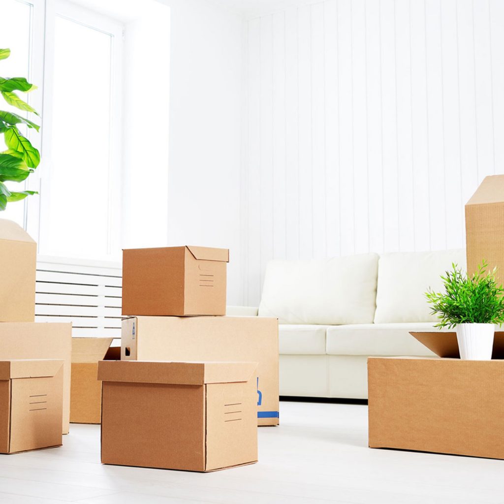 אריזות קרטון ממותגות